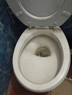 Inodoro tapado