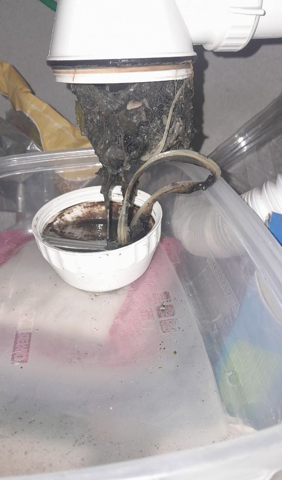 Sifon de cocina tapado